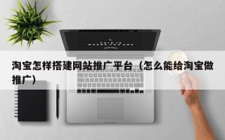 大连淘宝怎样搭建网站推广平台（怎么能给淘宝做推广）