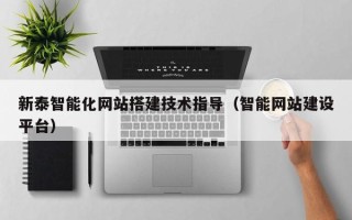 大连新泰智能化网站搭建技术指导（智能网站建设平台）